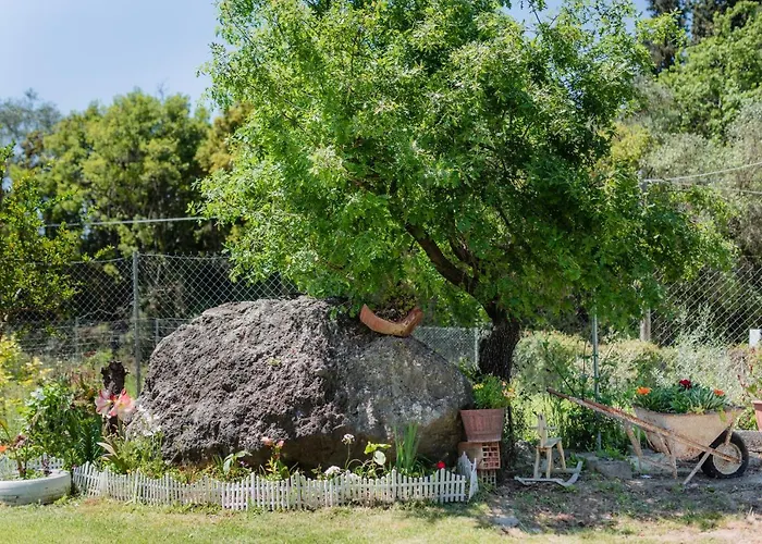 Anna Maria House 公寓 帕拉马